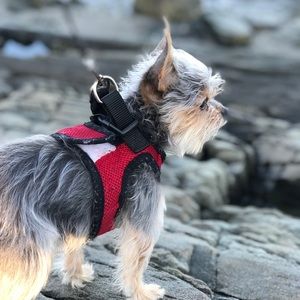 Meet your Posher, Karina